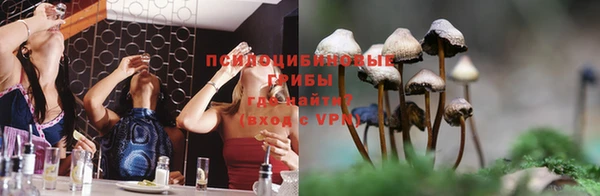 не бодяженный Богородск