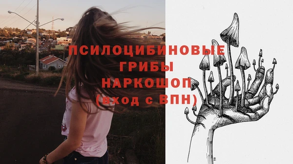альфа пвп Богородицк