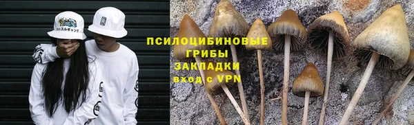 альфа пвп Богородицк